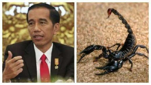 GoRiau - Jokowi Anjurkan Cari Racun Kalajengking, Netizen 